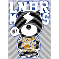 Brand Catalog-ZX 857